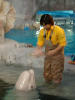 s_IMGP0421s.png